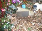 image of grave number 619227